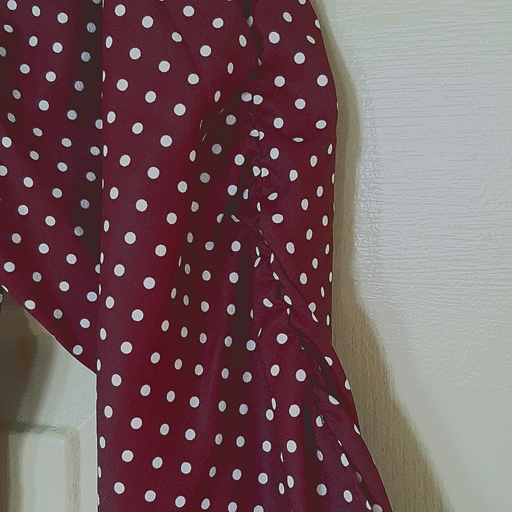 NWT Mulberry Dot Pattern Dress - Picture 10 of 10